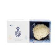 Luxury Kalyspongea natural Greek sea sponge presented inside its decorative drawer-style gift box, ideal for hypoallergenic baby bath care.