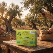 Hellas Meze Anchovies in Olive Oil - Ready to Serve on a clean ecommerce background